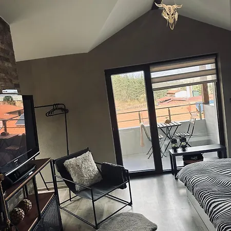 Apartment арт мезонет Salem