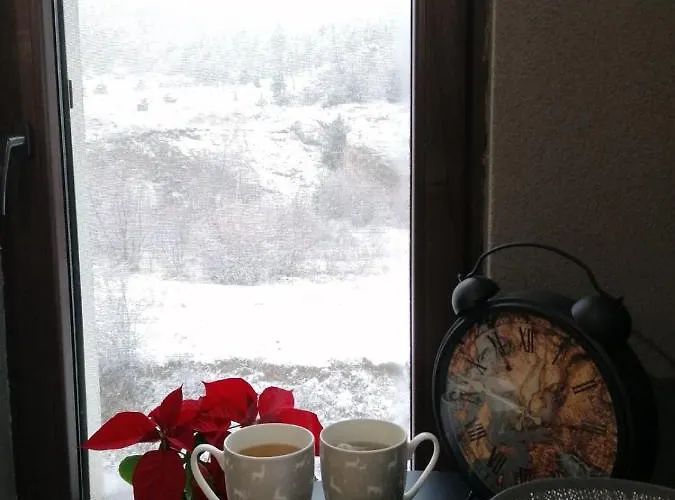 арт мезонет Salem *