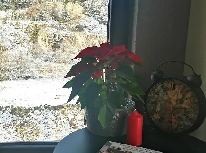 Apartment арт мезонет Salem Velingrad