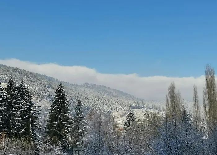 арт мезонет Salem * Velingrad