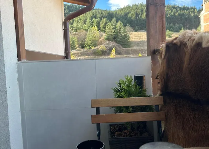 арт мезонет Salem *